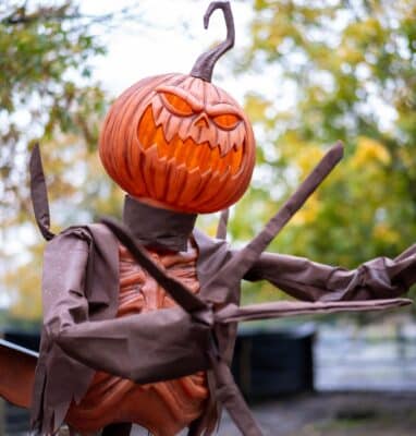 Halloween-themed scarecrow with carved pumpkin head amidst autumn trees at outdoor hotel garden.