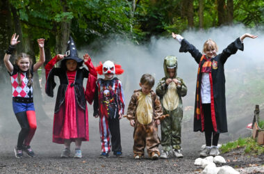 Children in vibrant Halloween costumes playing in a misty forest setting, creating a magical and adventurous atmosphere.