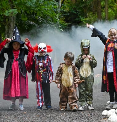 Children in colourful costumes playing in a misty, scenic garden.