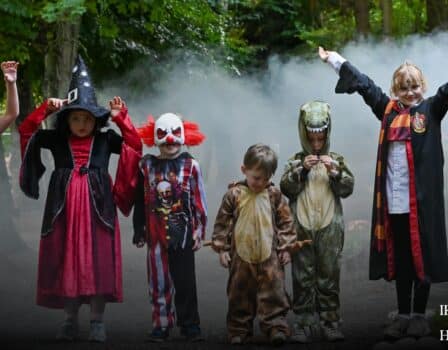 Halloween Image Newpark