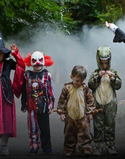 Halloween Image Newpark Hotel Kilkenny