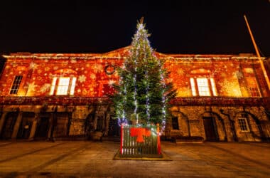 Stunningly lit building facade with festive Christmas tree and lights, perfect for holiday stays in historic architecture.