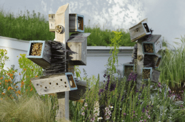 bee-hotel