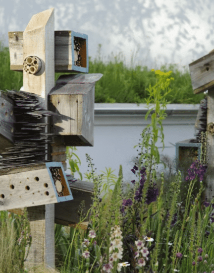 bee-hotel