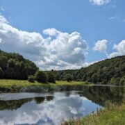 grennan-looped-walk-thomastown-co-kilkenny_master