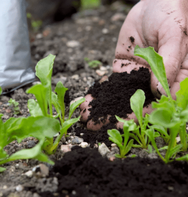 Waste &amp; Water Reduction