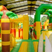 jurassic-bounce-image-resize