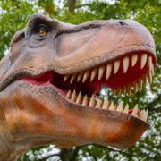 j-trex