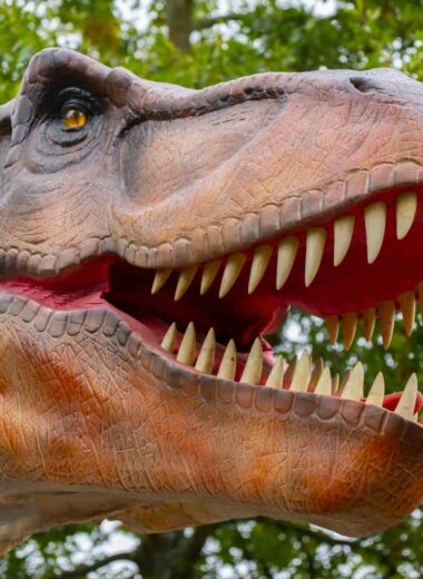 Jurassic-Newpark