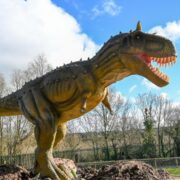 new-dinos-2-reize