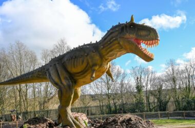 new-dinos-2-reize