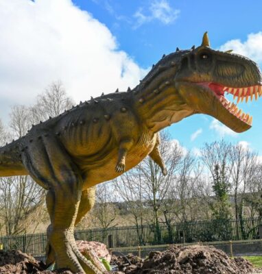 new-dinos-2-reize