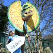 1col-alice-in-dinoland-2