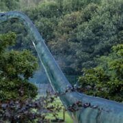 1col-j-brachiosaurus