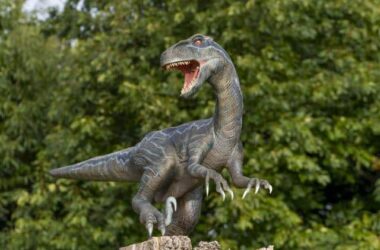 1col-j-velociraptor