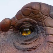 j-dino-eye