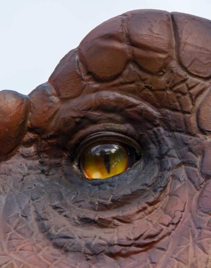 j-dino-eye