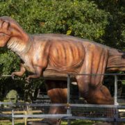 j-full-trex