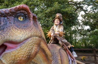 j-riding-the-trex