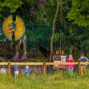 Barnstrm Macbeth Goresbridge Kilkenny