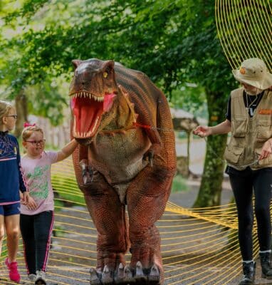 Kilkenny Summer Breaks