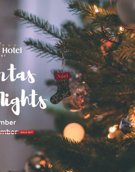 NEWPARK CHRISTMAS 16