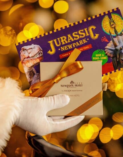 Christmas Vouchers 1